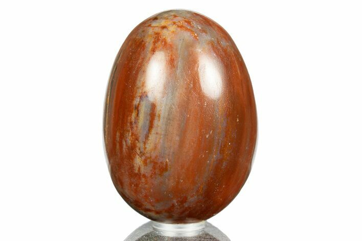 Colorful Polished Petrified Wood Egg - Arizona #309056